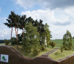 diorama_motyl_5_TT.jpg