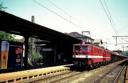 1996.06.06. - Helmstedt - ''Holzrollery'' 142 071-0 DB AG oraz 142 226-0 DB AG z poc. tow..jpg