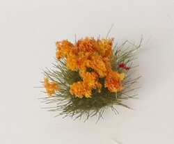 kwiaty - pomarańcz - 2.jpg