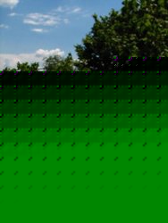 Pole za stodołą.JPG