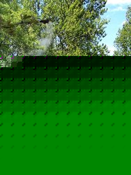 56.jpg