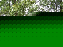 67.jpg