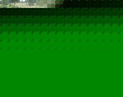 08.jpg