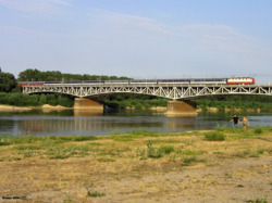 4478.jpg