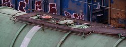 KR_zr_22lu24 (209)_.jpg