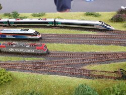 20240630_121929.jpg