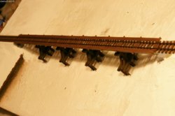005.JPG