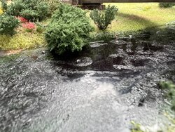 IMG_1398.jpg