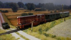 DSC06580-min.JPG