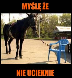 mysle-ze-nie-ucieknie_2016-06-24_23-47-17.jpg