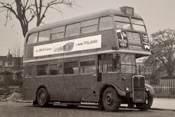 Buy BEST BACON from Poland, Ealing 16.11.1968.jpg
