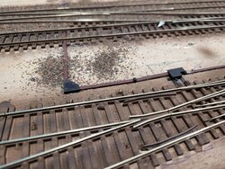 e49f3279-b2de-4711-b3e6-a0db0de44e03.jpg