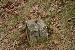 DSC_0003.JPG