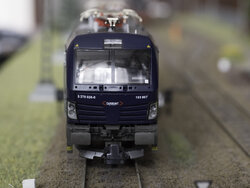 _A300688.jpg