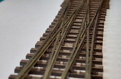 20250421_113033.jpg