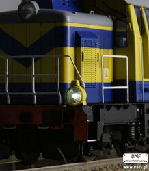 DSC01223.JPG