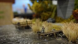 DSC06808-min.JPG