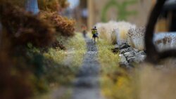 DSC06809-min.JPG