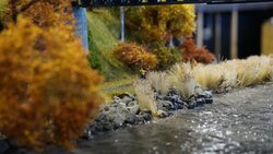 DSC06810-min.JPG