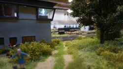 DSC06874-min.JPG