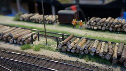 DSC06876-min.JPG