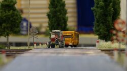 DSC06920-min.JPG