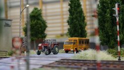 DSC06926-min.JPG