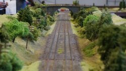 DSC06929-min.JPG