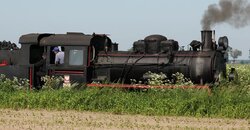 100604284.JPG