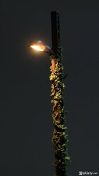 Lampy_ffox_08.jpg