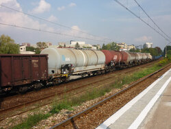 P1090729.jpg