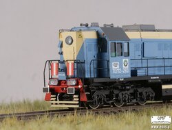DSC01350.JPG