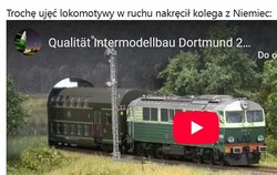 tunel drzew.jpg