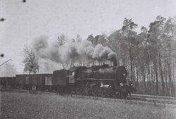 10_7 Tr202-11_.JPG