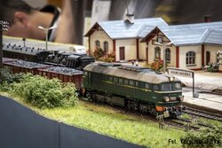Atn_DSC_0112.jpg