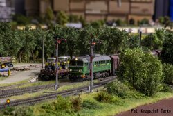 Atn_DSC_0235.jpg