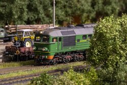 Atn_DSC_0237.jpg