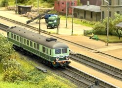 IMG_5571.jpeg
