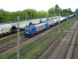 P1120531.JPG