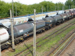 P1120541.JPG