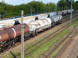P1120543.JPG