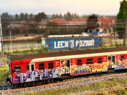 IMG_2551.jpeg