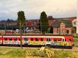 IMG_2549.jpeg