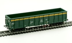 AM 597041.jpg
