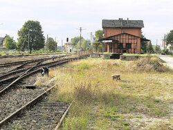 P1490897.JPG