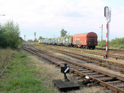 P1490872.JPG