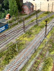 IMG_2807.jpeg