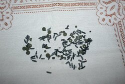 IMG_3390.JPG
