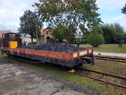 20251005_104025 (Średnie).jpg