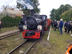 20251005_105437 (Średnie).jpg